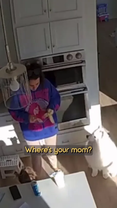 When 3 year old finds out her mom was adopted