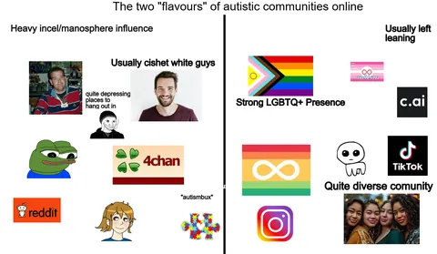 The two "flavours" of autistic communities online starterpack