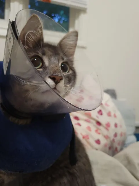 "You won't want to deal with it"