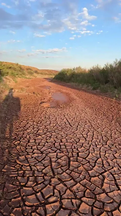 You can lead a horse to water..