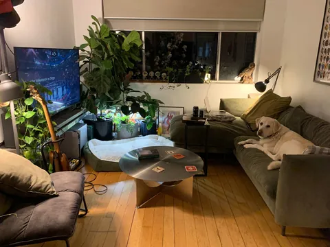 Starting to feel comfy after 7 months in the new place