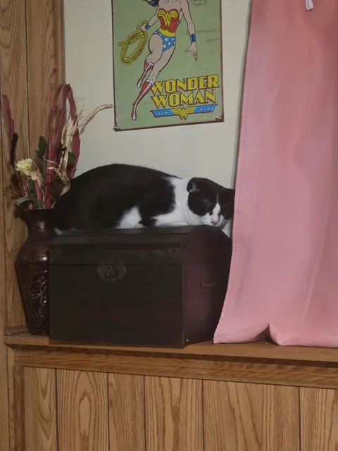 This is Mr.Flapjack.