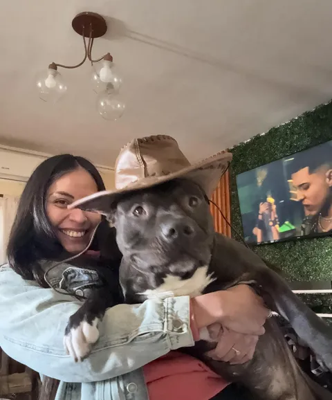 apart from giving the paw, he smiles for the photo 🥰🥰