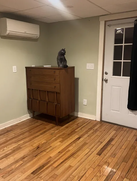 How do I support my cat since roommate and her cat moved out?