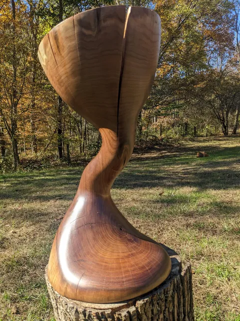Just spent my last 3 years worth of Fall and Spring downtime carving a wooden wormhole from a single log. The concept just excites the heck out of me.