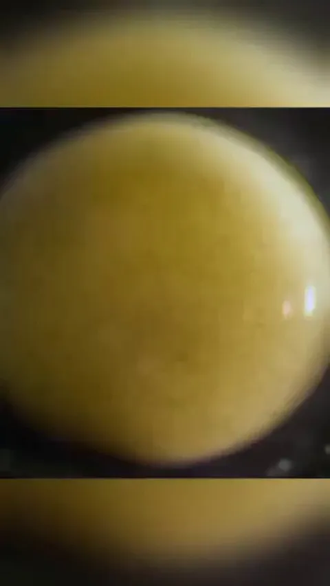 It's crazy how a cell knows how what form to take