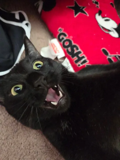 We holdin' hands &lt;3