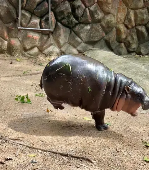 You can hear the tires squeak.