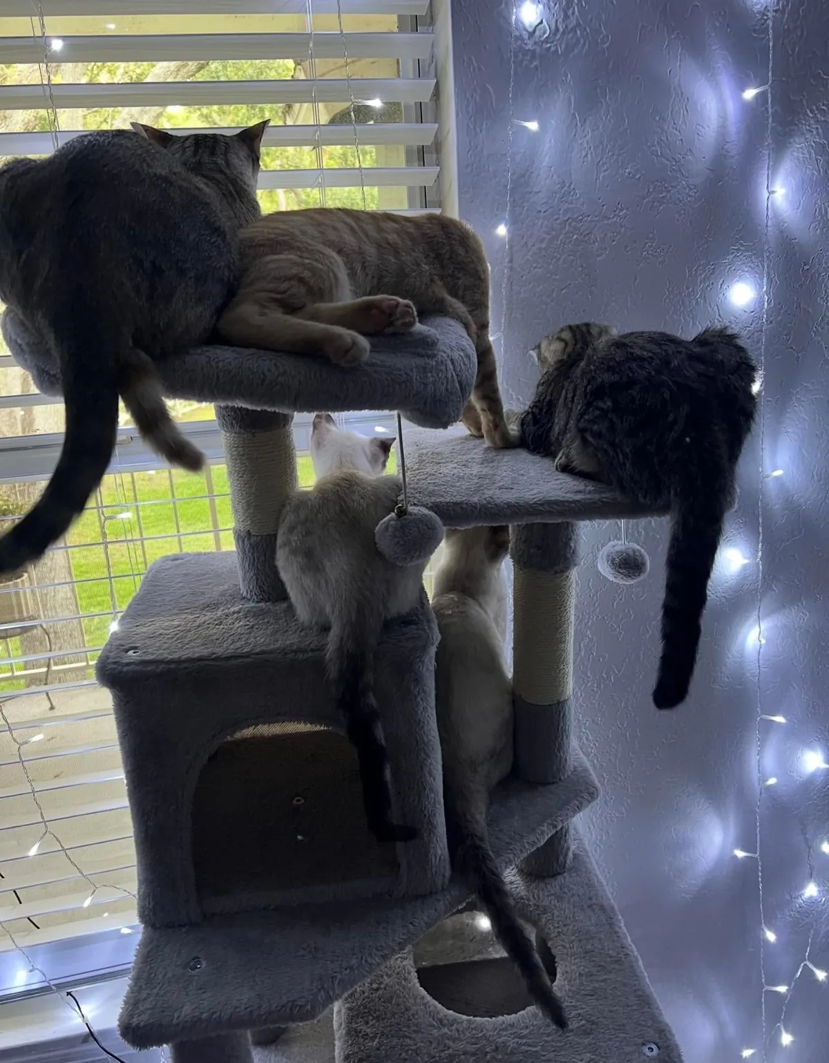 Kept the family together