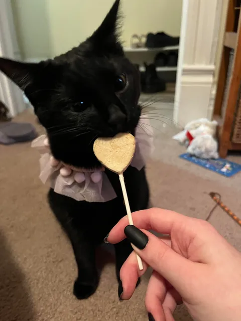 It’s Olive’s Birthday!!!