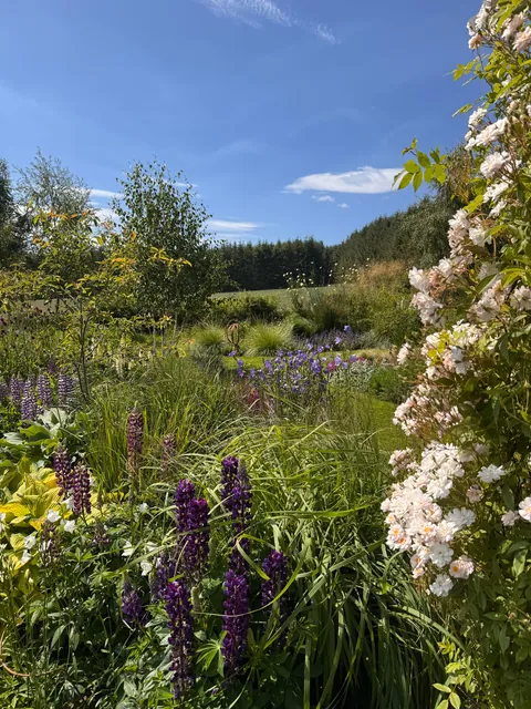 My Scottish Garden