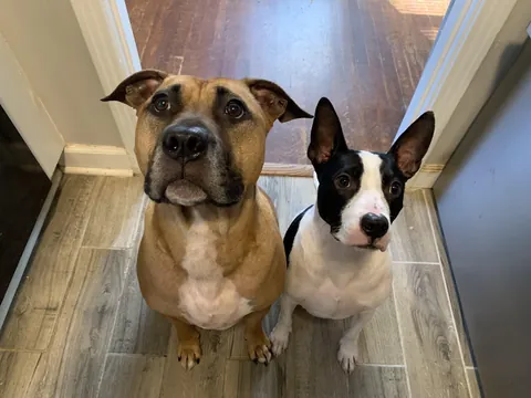 My boys don’t know it but they’re holding hands 🥹