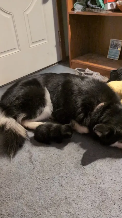 He Loves His Big Sister💚