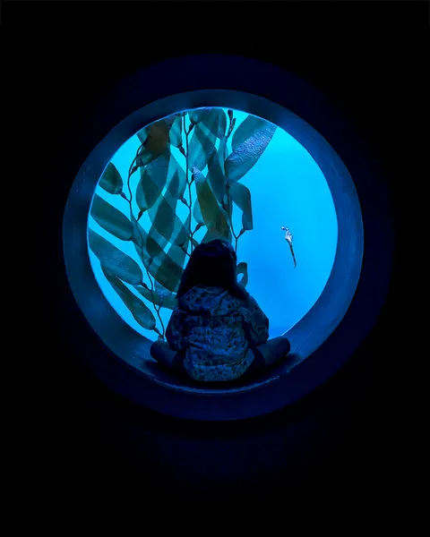 ITAP of my daughter immersed in a seahorse exhibit