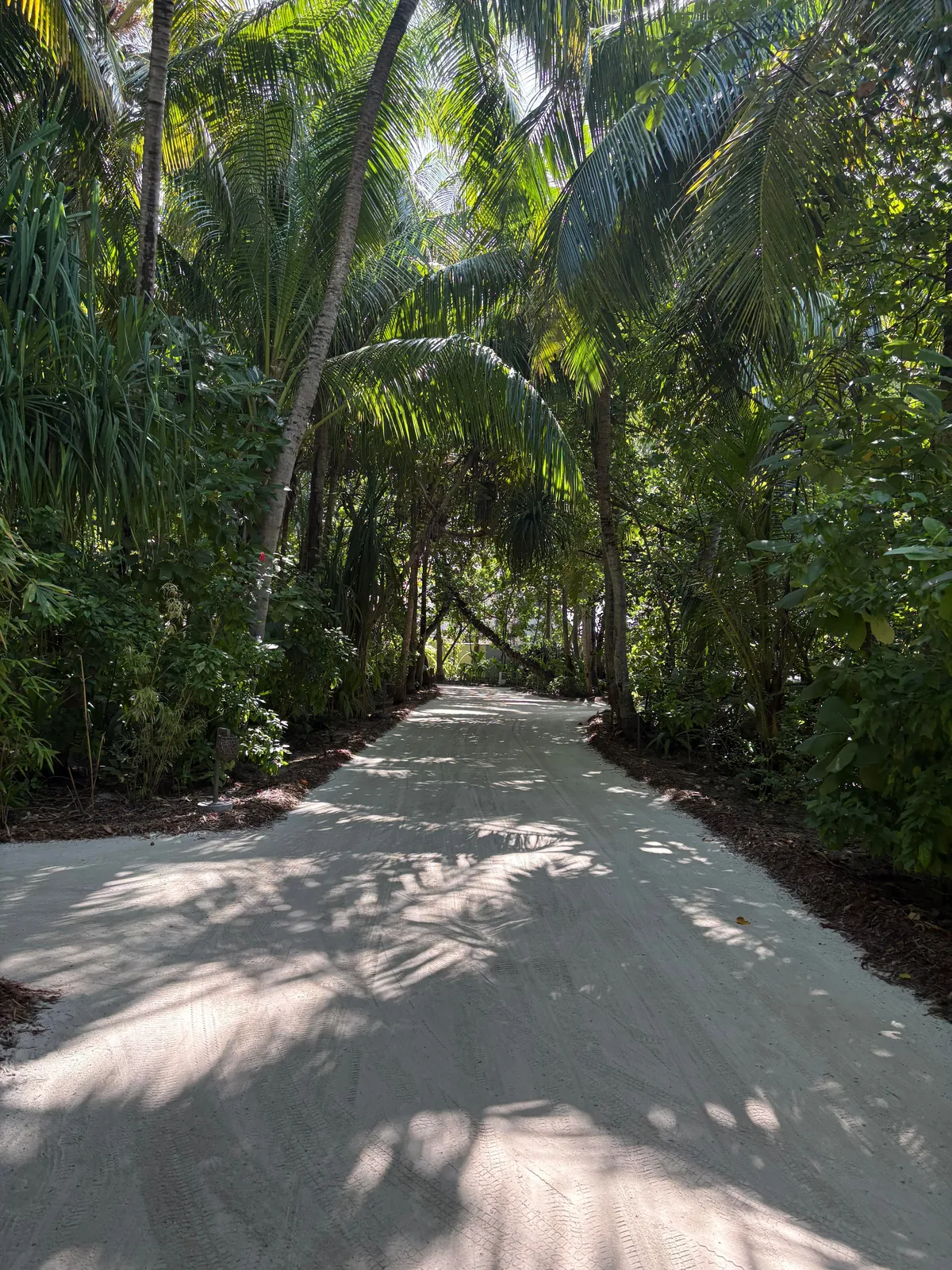 The Maldives is a paradise on earth