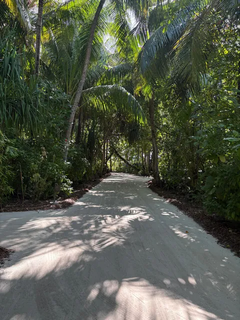 The Maldives is a paradise on earth