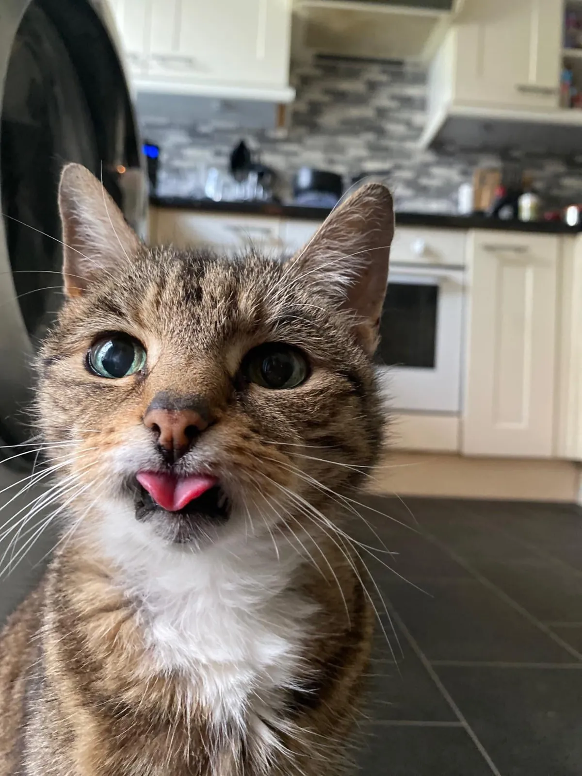 Had to send my 23 year old girl to sleep:(