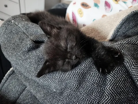 I love her so much 🥹🐈‍⬛