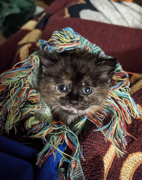 Updates on the sweet ice princess, Elsa!