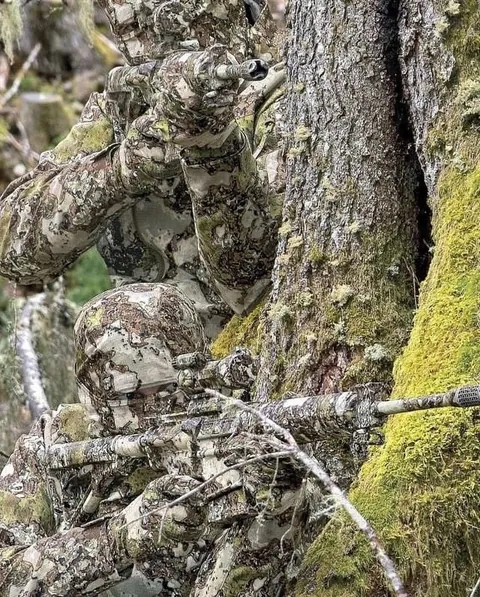 The effectiveness of camouflage 