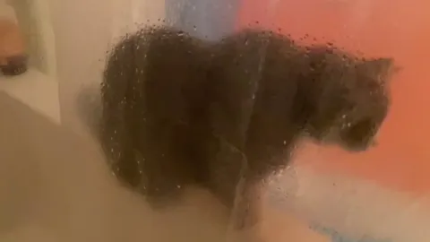 This is Jake. He runs to the bathroom when I turn on the shower so I can spray him through the curtain. Such a derp!