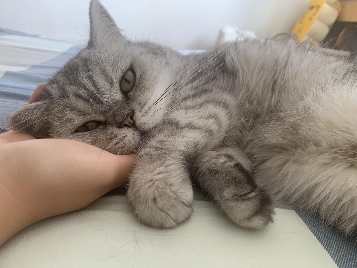 My little girl has finally decided to trust me