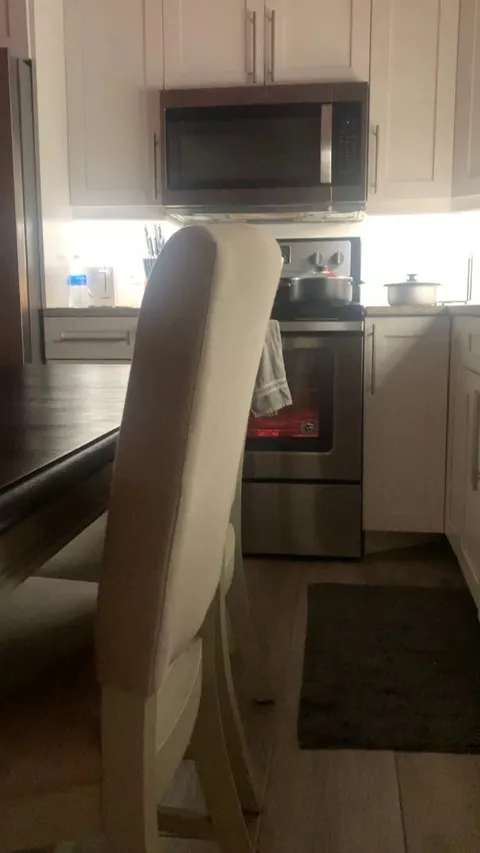 My oven is plotting its revenge on me