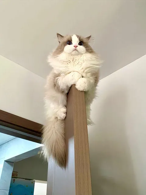 omg can't handle thisssssss angel