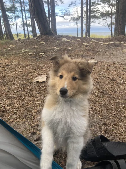 Those eyes have been following me for four years now