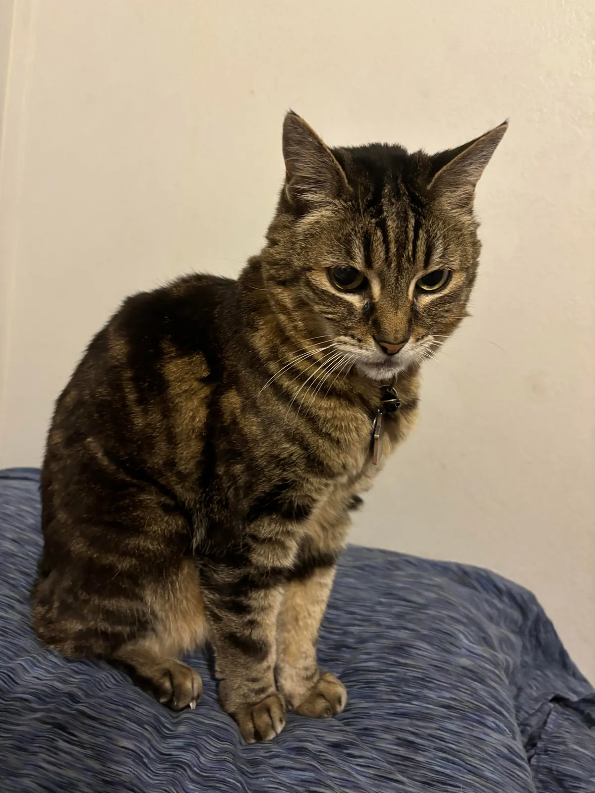 Turned 20yr yesterday 