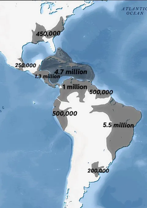 Distribution of Enslaved Africans Across the Americas