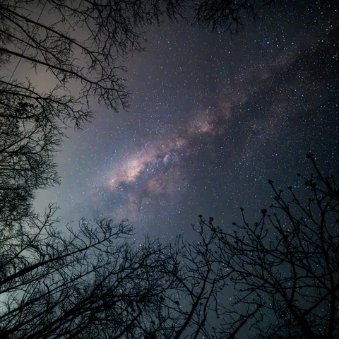 Shooting straight up