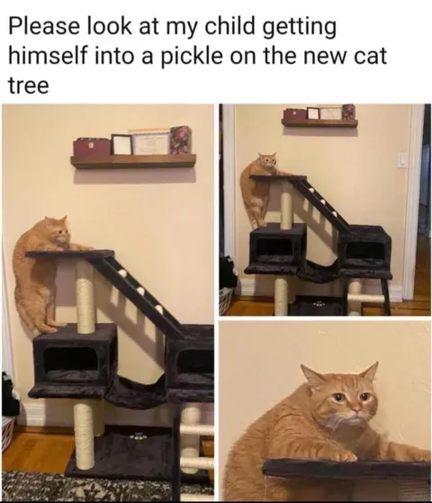 He's gonna miss the couch 