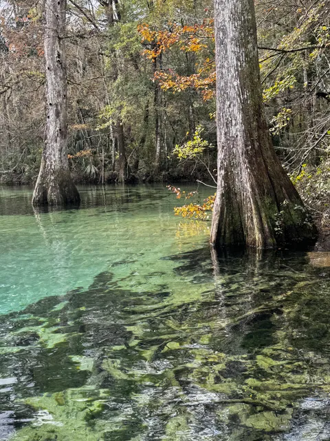 Ponce de Leon Springs, Florida (4284x5712)(OC)