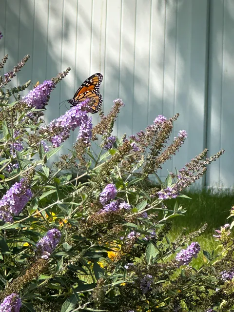 This might be the best photo I've ever taken, or maybe I just like it the best!