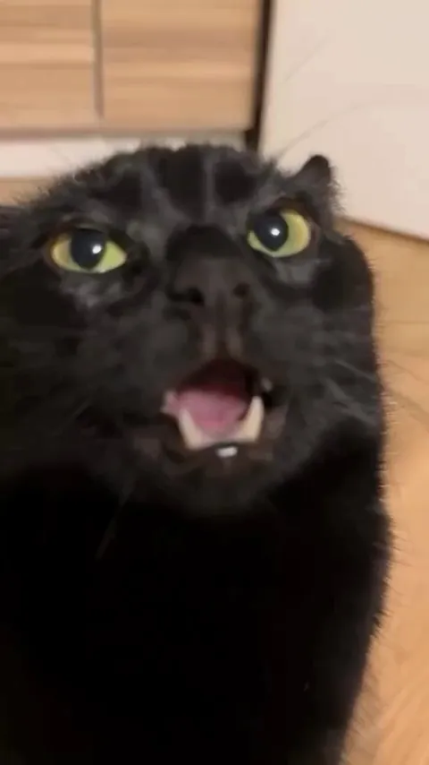 Void has no thoughts nor words, just void