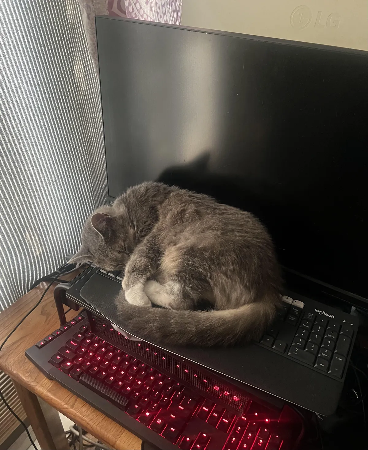 My roommate has a decoy keyboard to keep the cat from sleeping on his actual keyboard. 