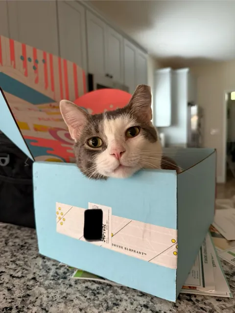 Sure, those are places to sit.