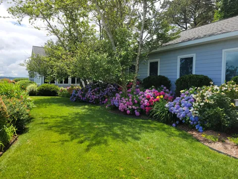 Did you remember to fertilize?