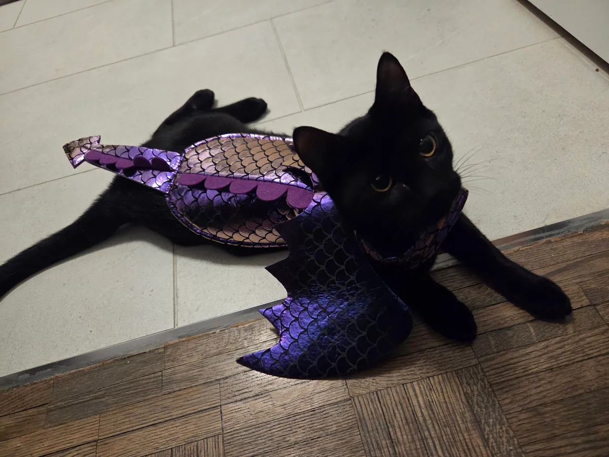 Happy Halloween from Pickles