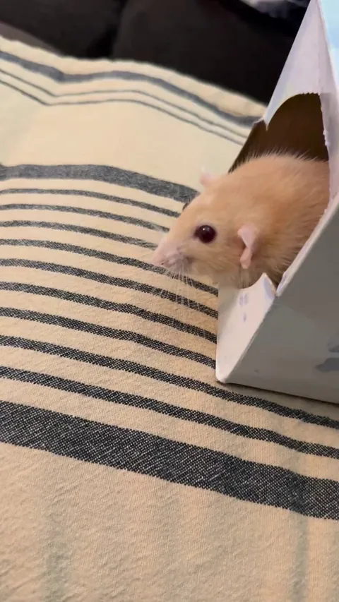 Naga is such a kissy boy 🥰