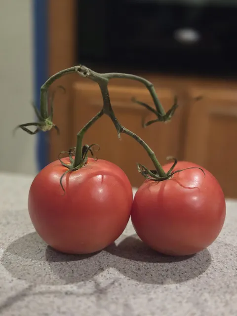 Saw this in my kitchen and can’t stop thinking he’s late for a salsa dance contest.