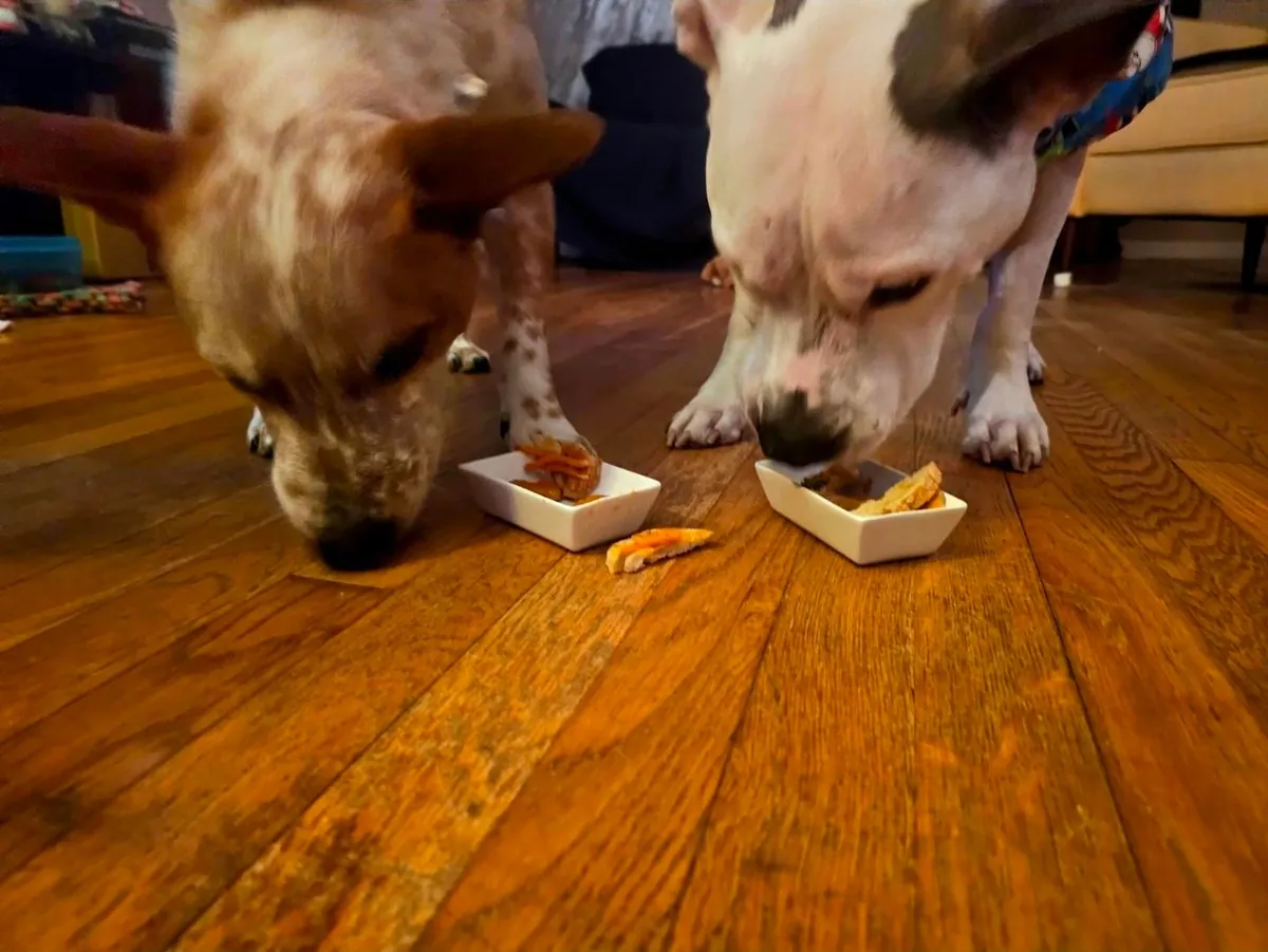 [Homemade] Burger &amp; Fries