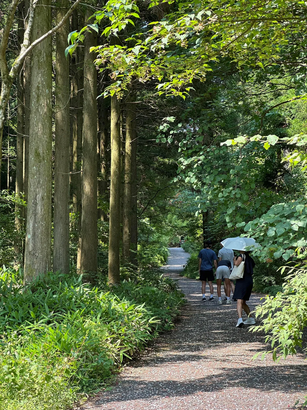 Japan: Nakasendo Trail between Magome and Tsumago
