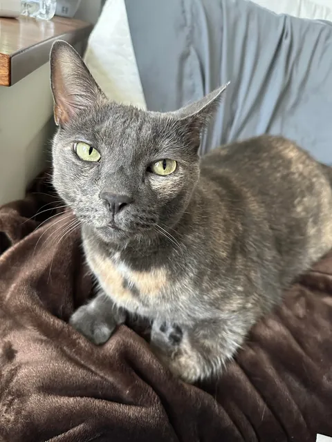 Saying goodbye to my sweet bear tomorrow morning. Wanted to share her beauty with you all