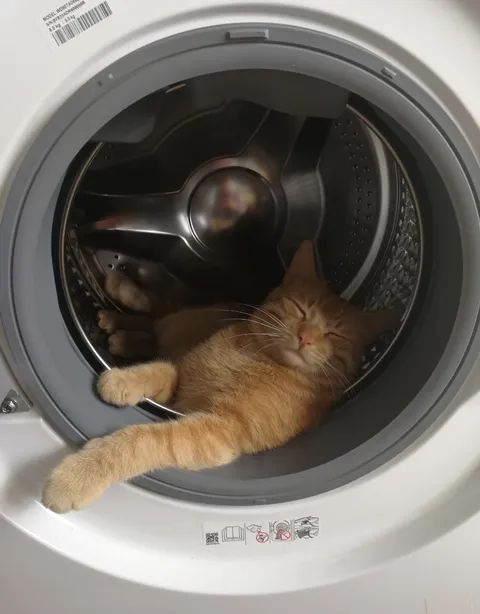 Don't feel disturbed 🤗