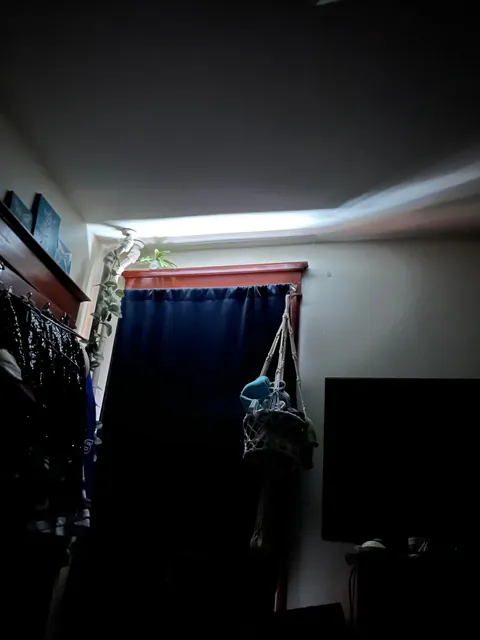 Shove a pool noodle into the opening between the window frame and the curtain rod to block sunlight (before and after)