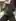 Swipe to bring them to life
