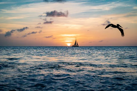 I got lucky on this shot, but this is my most proud photo to date.