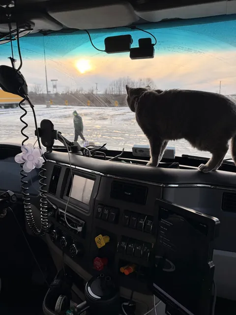 Lola is a truck driver 🚛!! She is 11 years old. 🙂